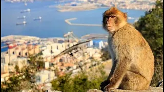 Путешествие на Гибралтар(Великобритания в Испании).Часть 1. Gibraltar.08/04/2023