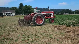 Cultivating with Farmall 504 in 2023.