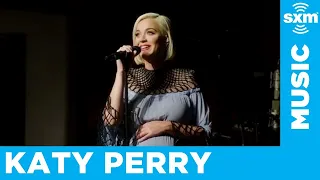 Katy Perry Dedicated a Song to Her Daughter on Her New Album