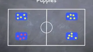 P.E. Games - Puppies