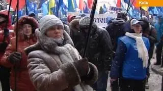 Митинг за Януковича: Чтобы не было насилия