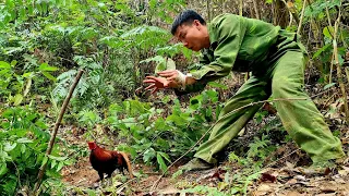 Survival alone, skills, hunting wild chickens, finding food for wild boars, survival instincts