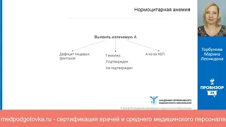 Обоснованный подход к терапии железодефицитной анемии