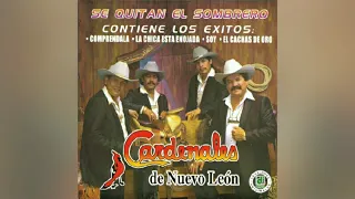 Los Cardenales De Nuevo Leon - Comprendala