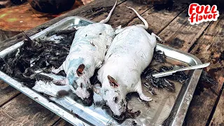 Amazing Giant! RAT Farming & Cooking | THAI Food | หนูนาอบโอ่ง หลามหนูนา มีตังฟาร์ม โคราช