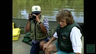 Paddlefish Prehistoric Pursuit (1996)