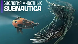 Полная Биология экосистемы Subnautica. От рыбок до Левиафанов