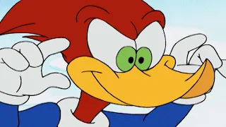 Woody and Wally scare Ms. Meany! | Woody Woodpecker