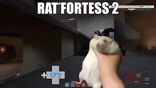 Rat fortress 2