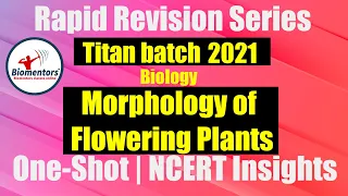 Titan Batch 2021- Morphology Of Flowering Plants | Rapid Revision Series | One-Shot | NCERT Insights