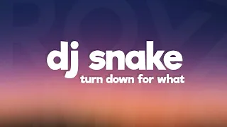 DJ Snake, Lil Jon - Turn Down for What (Lyrics)