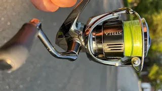 The Ultimate Shore Fluke Spinning Reel? Triple Limit w/ the Shimano Stella FK 2500HG!