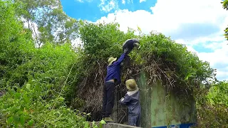 (Part 2) Construction Works Buried In The Past, Creepy Vines