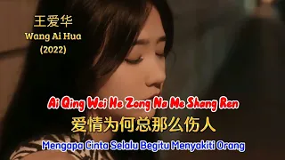 爱情为何总那么伤人 - Ai Qing Wei He Zong Na Me Shang Ren - 王爱华 - Wang Ai Hua (2022)