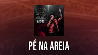 Pé Na Areia | Diogo Nogueira - Ao Vivo em Porto Alegre (áudio)