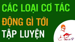 🔰 Ảnh hưởng của Các loại cơ đến Tập luyện?