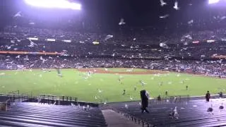 Postgame seagulls & Steve Perry (Journey) AT&T Park San Francisco Giants June 13, 2014