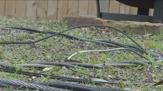 Texas ice storm: 4% of Austin Energy customers still without power days after major outage | FOX 7 A