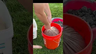 Pre Germinate Grass Seed #lawn #lawncare #lawnmower #asmr #diy #satisfying #diyhome #homediy