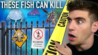 Enter the DEADLIEST Aquarium in the World... (most venomous fish) ☠️