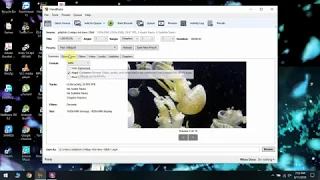 how to Convert 10 bit HEVC [ x265 ] video to 8 bit MP4 [ x264 ] video using HandBrake