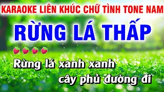 Karaoke Liên Khúc Trữ Tình Nhạc Sống Tone NAM  Dễ Hát - Rừng Lá Thấp |Tấn Tài Organ