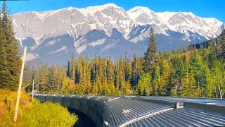5 Days on Canada’s Greatest Overnight Train | The Canadian (Part 2/2)
