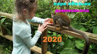 Экскурсии в Доминикане Парк обезьян Monkey Land Punta Cana