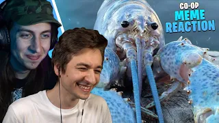 Meme che @GlobalScream ha probabilmente già visto | CO-OP MEME REACTION