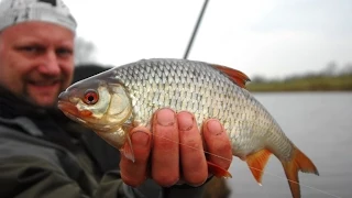 Matze Koch: Feedern an Kanal und See - Matzes Mätzchen 08-2012