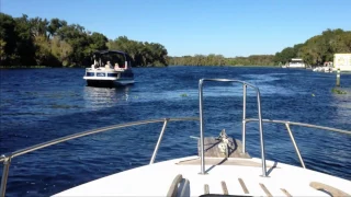 St. Johns River Boat Ride