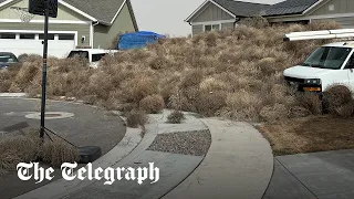 Homes engulfed in tumble weed as freak weather hits Utah