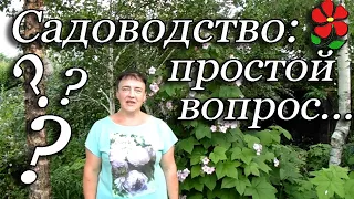 Рубрика "наивных вопросов". Для начинающих садоводов!