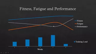 The Fundamentals of Tapering and Peaking for Performance | What, Why & How