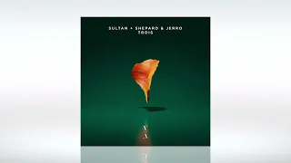 Track of the Day (07/04/2022) ~ Sultan + Shepard, Jerro - Trois (Extended Mix) | This Never Happened