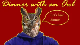 "LET'S HAVE DINNER." | Dinner With and Owl