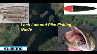 Loch Lomond Pike Fishing Guide