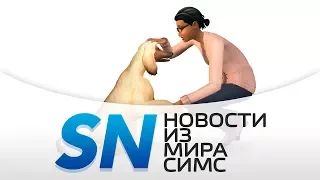#SIMSNEWS | Новые факты о дополнении «The Sims 4 Кошки и собаки»