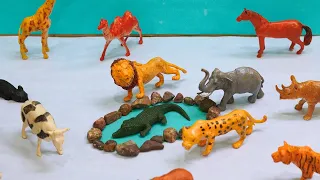 Miniature Wildlife Adventure #toyanimals #animaltoys #jungletoys