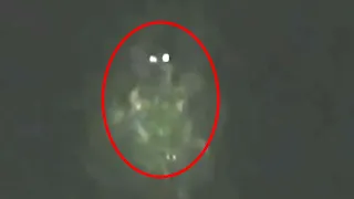 Top 5 Scary Bigfoot Videos That Are Unexplained