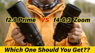 PL 200mm DG f2.8 VS PL 100-400mm DG f4-6.3, Prime or Zoom? - RED35