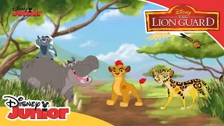 Η Φρουρά των Λιονταριών | Μαθαίνοντας τα Ζώα | Lion Guard - Learning the Animals | The Lion Guard