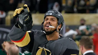 Ryan Reaves being himself for 3 minutes