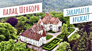 Неймовірна Україна: найбільша буйволина ферма та палац Шенборн | Подорож по Закарпаттю (№180)