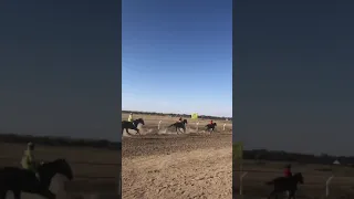 06.09.21ж. Кокбастау ипподромы кунан байге. Виза 2 орын.