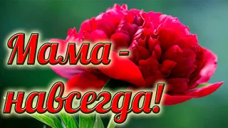 🌺"МАМА!". СТИХИ КО ДНЮ МАТЕРИ . СТИХ ДО СЛЕЗ  "Она случайно уронила ложку.🌺