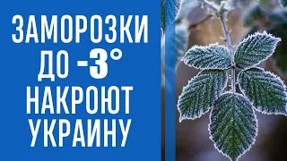 В Украине сильно похолодает, ударят заморозки: синоптики озвучили прогноз