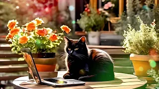 Healing atmosphere / peaceful piano music /   Read, Write, and Relax / cute cat /  sunny afternoon
