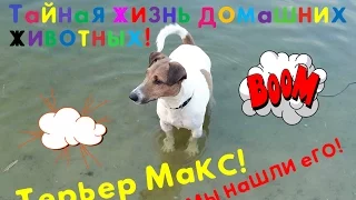 🐕THE SECRET LIFE of PETS🐶MAX в  РЕАЛЬНОЙ ЖИЗНИ 🐕ДОМАШНИЕ ЖИВОТНЫЕ!