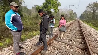 Three Elephants Killed on West Bengal Train Tracks (in Nov. 2023)